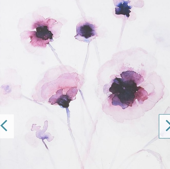 catherinejudy_